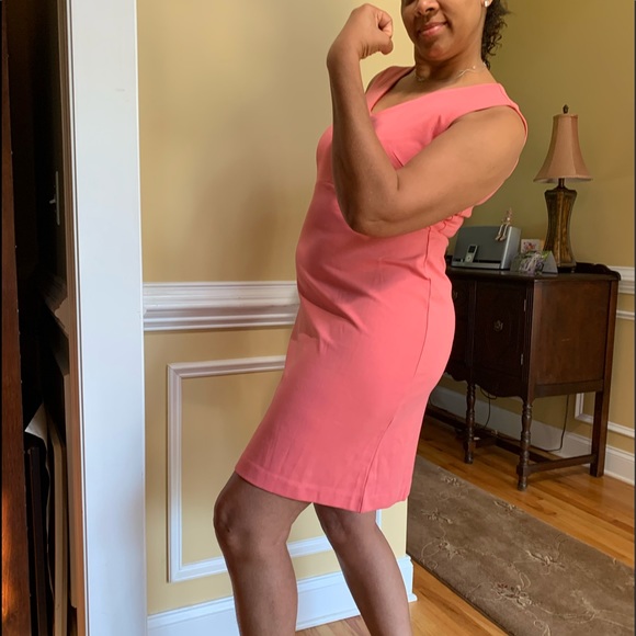 NWT WHBM TEA ROSE EMPIRE-WAIST V-NECK SHEATH DRESS - Picture 8 of 12